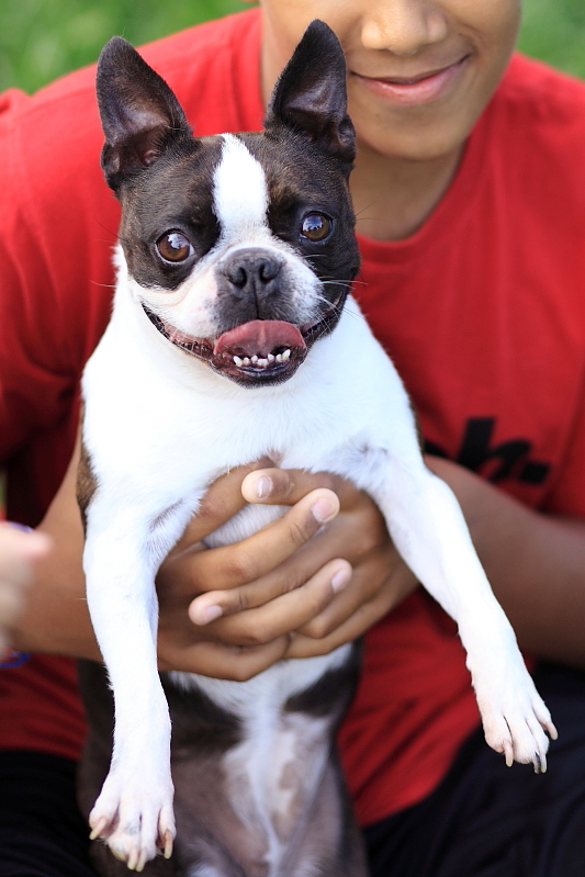 Toronto Family Photographer
