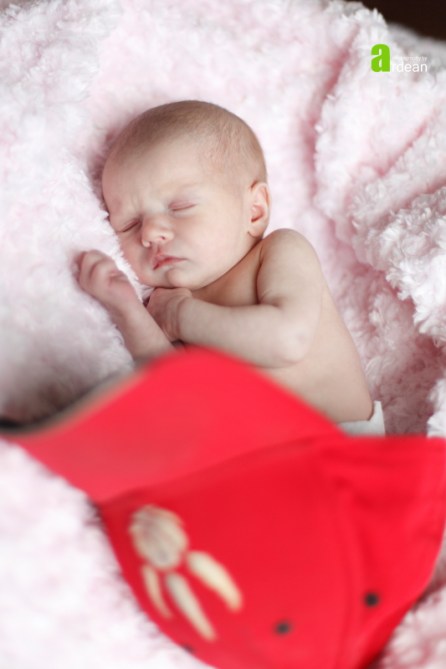 Toronto Newborn Photographer