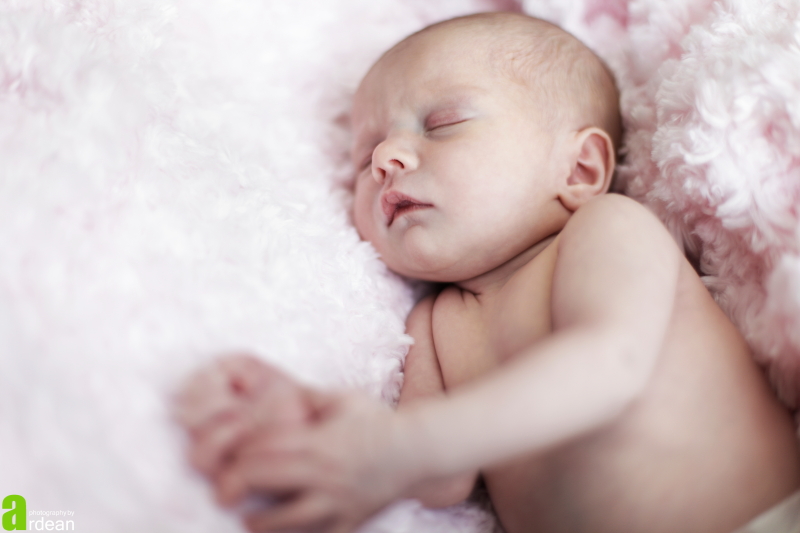 Toronto Newborn Photographer