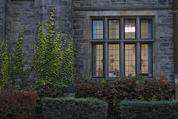 Copyright Toronto Photographer Ardean Peters