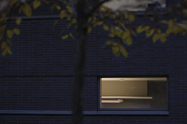 Copyright Toronto Photographer Ardean Peters