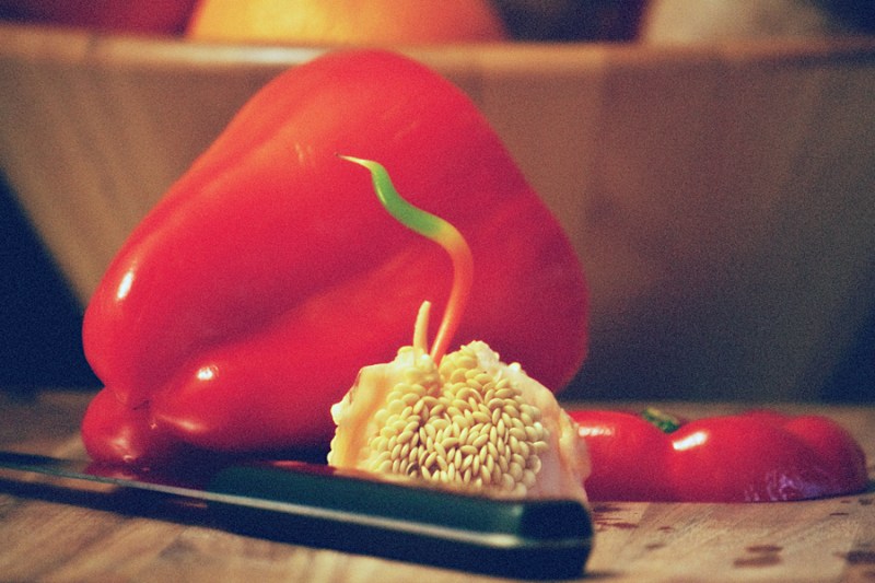 Copyright Toronto Photographer Ardean Peters