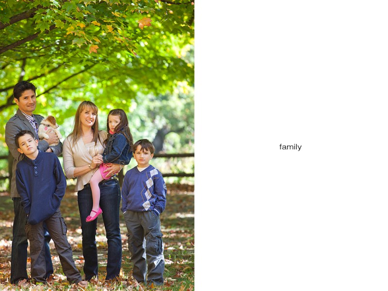 Copyright Toronto Photographer Ardean Peters