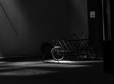 Black and White Photography Downtown Toronto Photographer