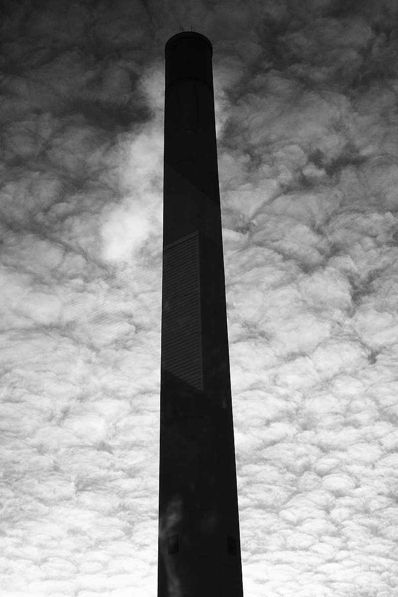 Toronto Light Photographer - Ardean Peters